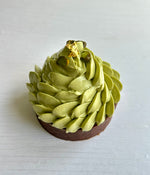 NEW - Pistachio chocolate tart